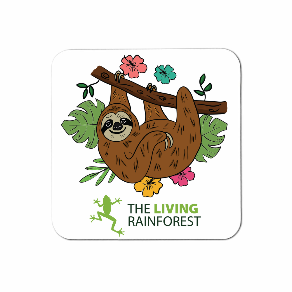 0bMFkJiENkyV3UD6dRwp-2