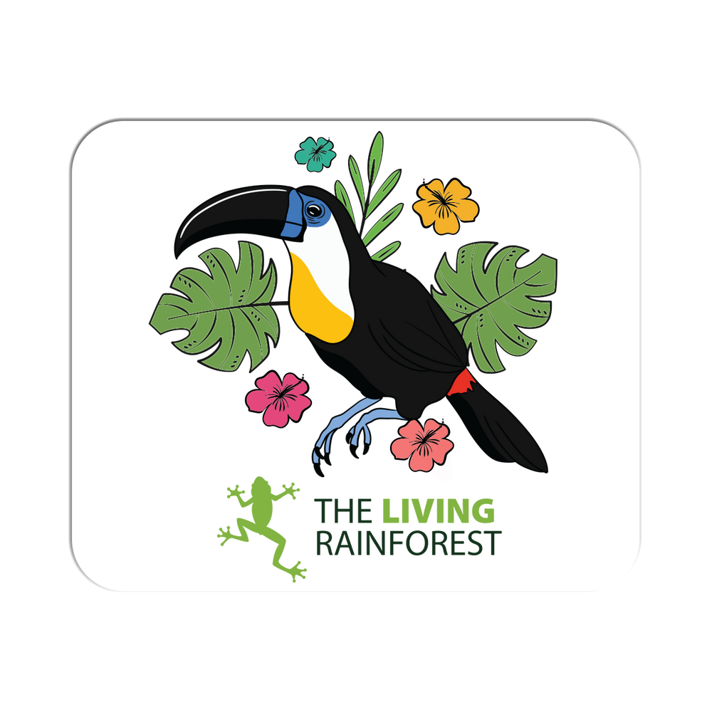 8K15NuPuzCwLnHYLsnRQ-1