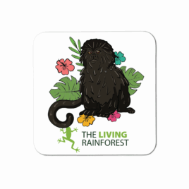 Goeldi’s Monkey Coasters