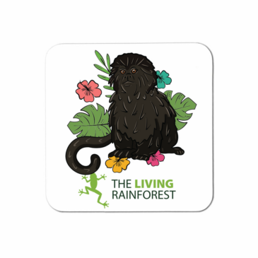 Goeldi’s Monkey Coasters