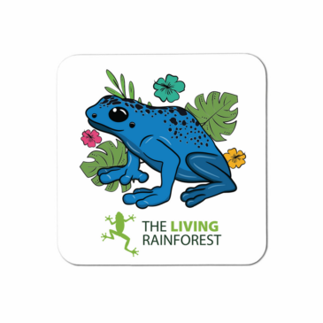 Blue Poison Frog Coasters