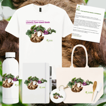 Two-toed Sloth Adoption Pack (Cinnamon)