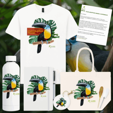 Toucan Adoption Pack