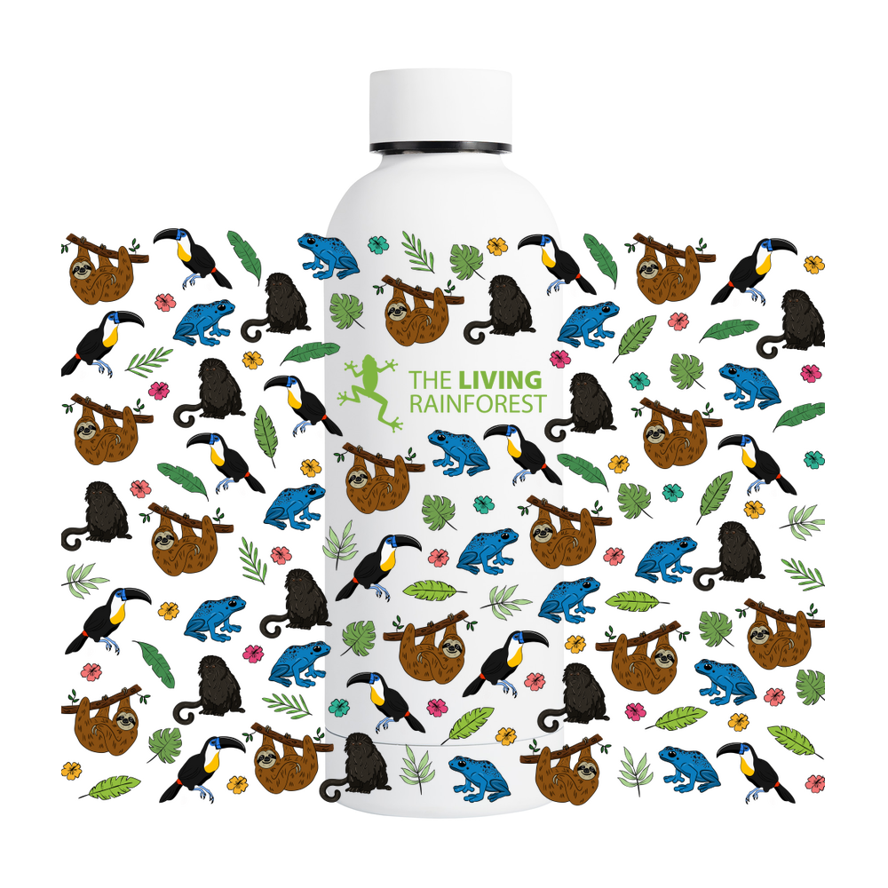 MIDI883uRRWWXACK8RUl